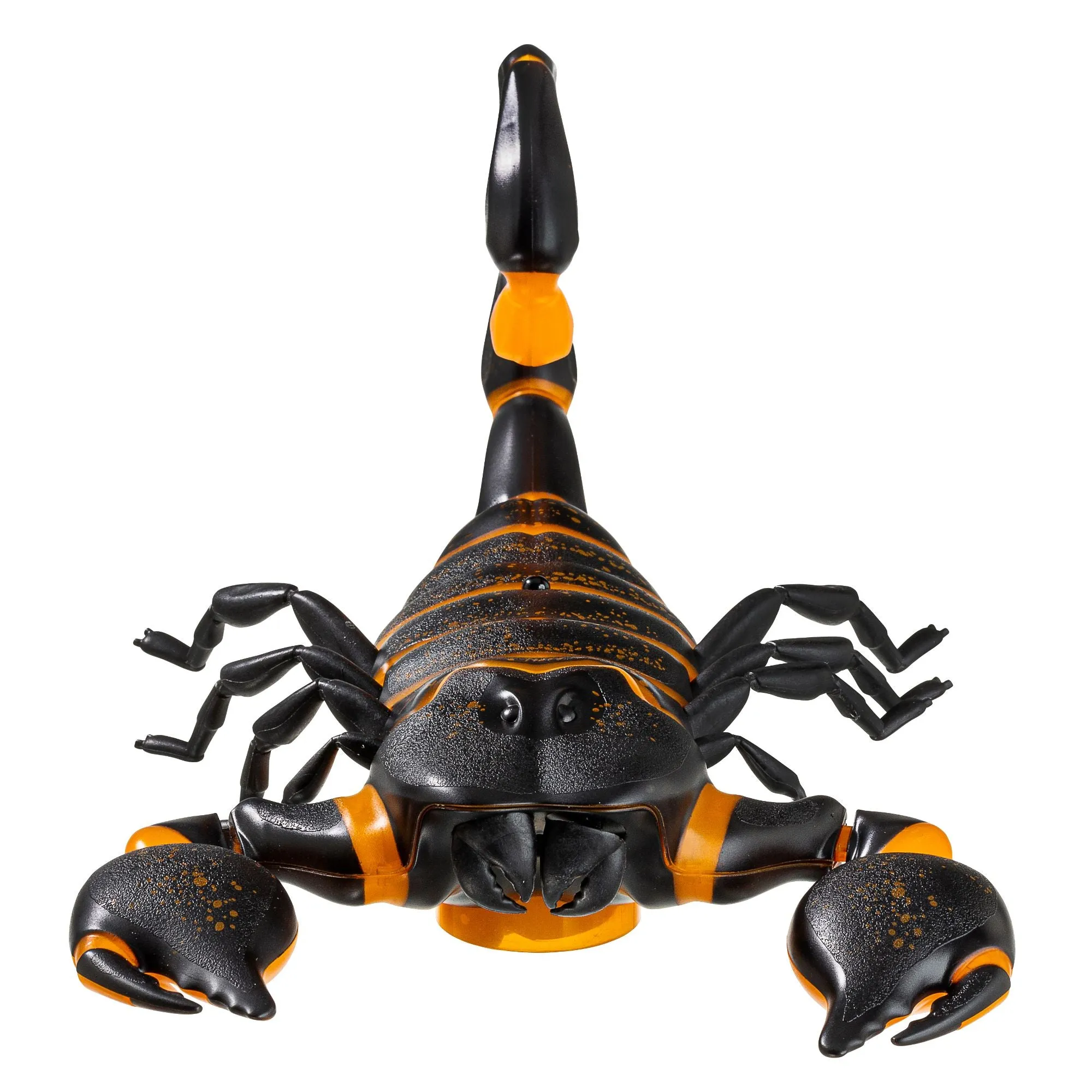Discovery Scorpion Remote Control Pet Creature