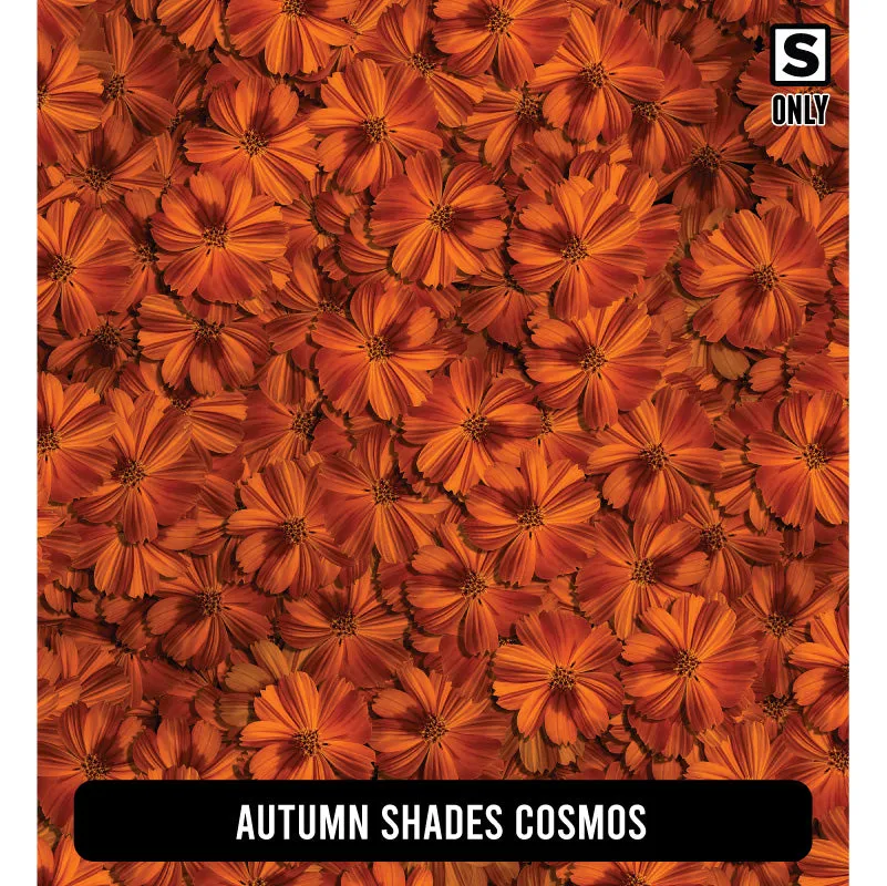 Fall/ Thanksgiving Orajet 3164 Patterned Adhesive Vinyl (11" x 12")