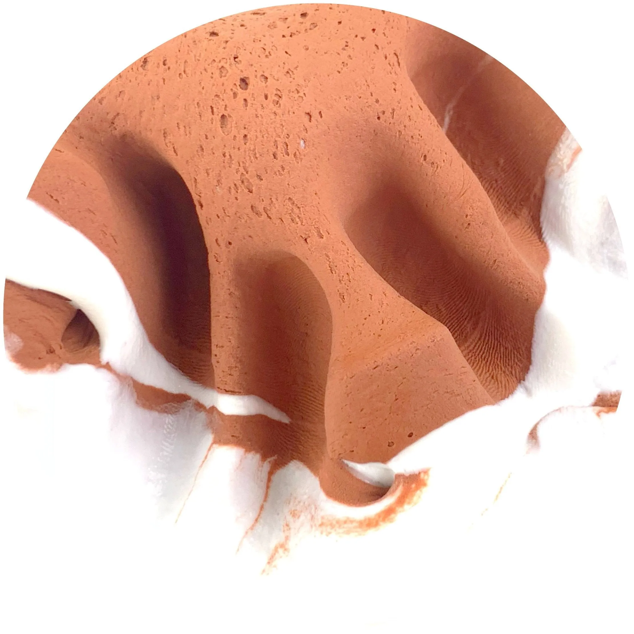 Original Ice Cream Sandwich
