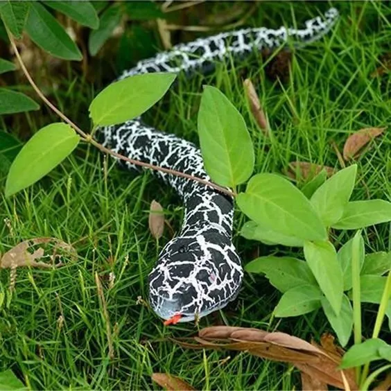 Remote Control Rechargeable Snake Toy - Simulation RC Snake with Egg Shaped Remote Controller
