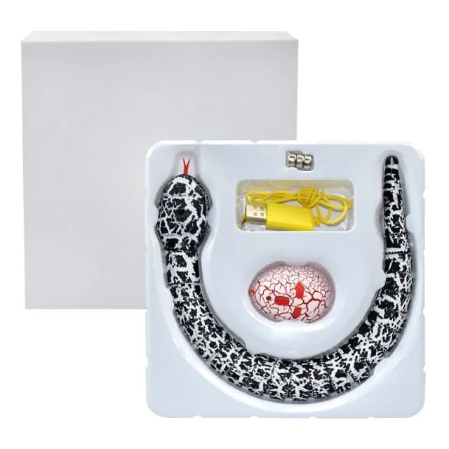 Remote Control Rechargeable Snake Toy - Simulation RC Snake with Egg Shaped Remote Controller