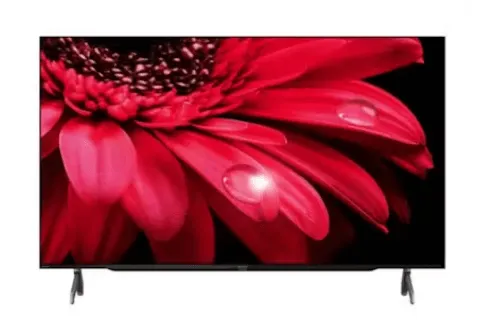 Sharp TV 4T-C55FL1X 55-inch 4K UHD Google TV
