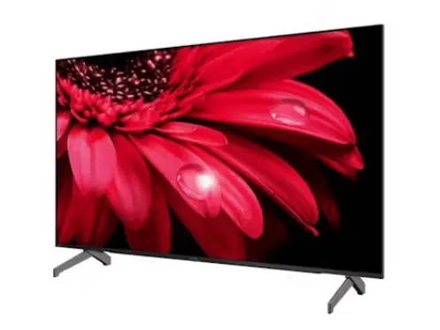 Sharp TV 4T-C55FL1X 55-inch 4K UHD Google TV